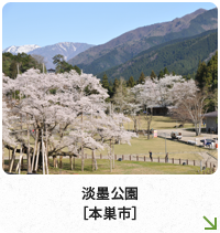 淡墨公園［本巣市］