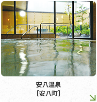 安八温泉［安八町］