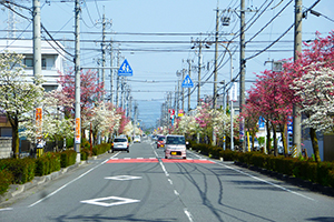 はなみずき通り