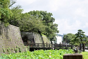 鶴丸城
