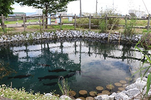 北方町がま広場