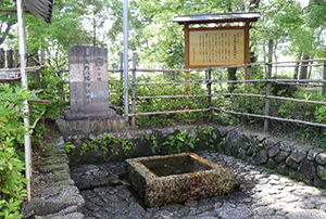 平成の名水100選に選ばれている「加賀野八幡神社井戸」