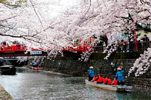 水の都おおがき舟下り／3月下旬～4月上旬