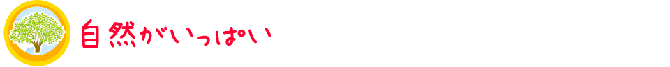 ���R�������ς�