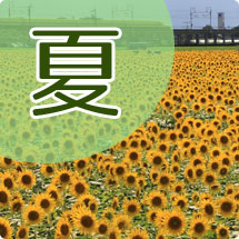 夏